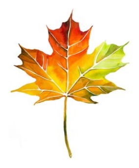 C:\Users\user\Pictures\Saved Pictures\Изображения\0c4a28243eb4558f6c7a575afb38a2b7.jpg